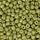 Seed beads 8/0 (3mm) Blooming grove green